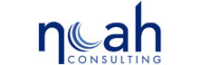 Noah Consulting: Unique Blend of Information and Energy expertise